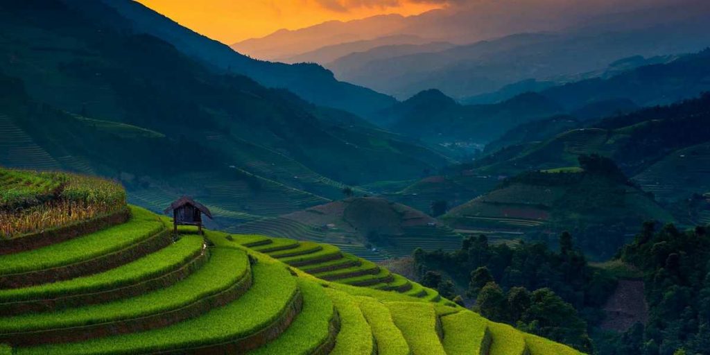 Mu Cang Chai Rice Field Vietnam