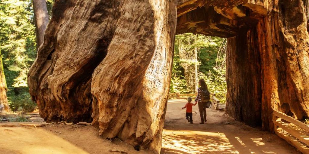 Yosemite national park in California USA