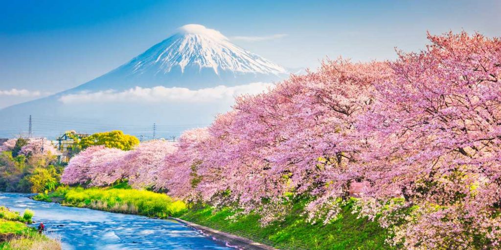 best time to visit japan