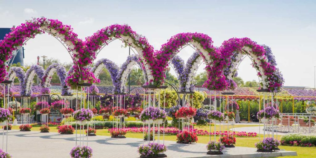 Dubai Miracle Garden