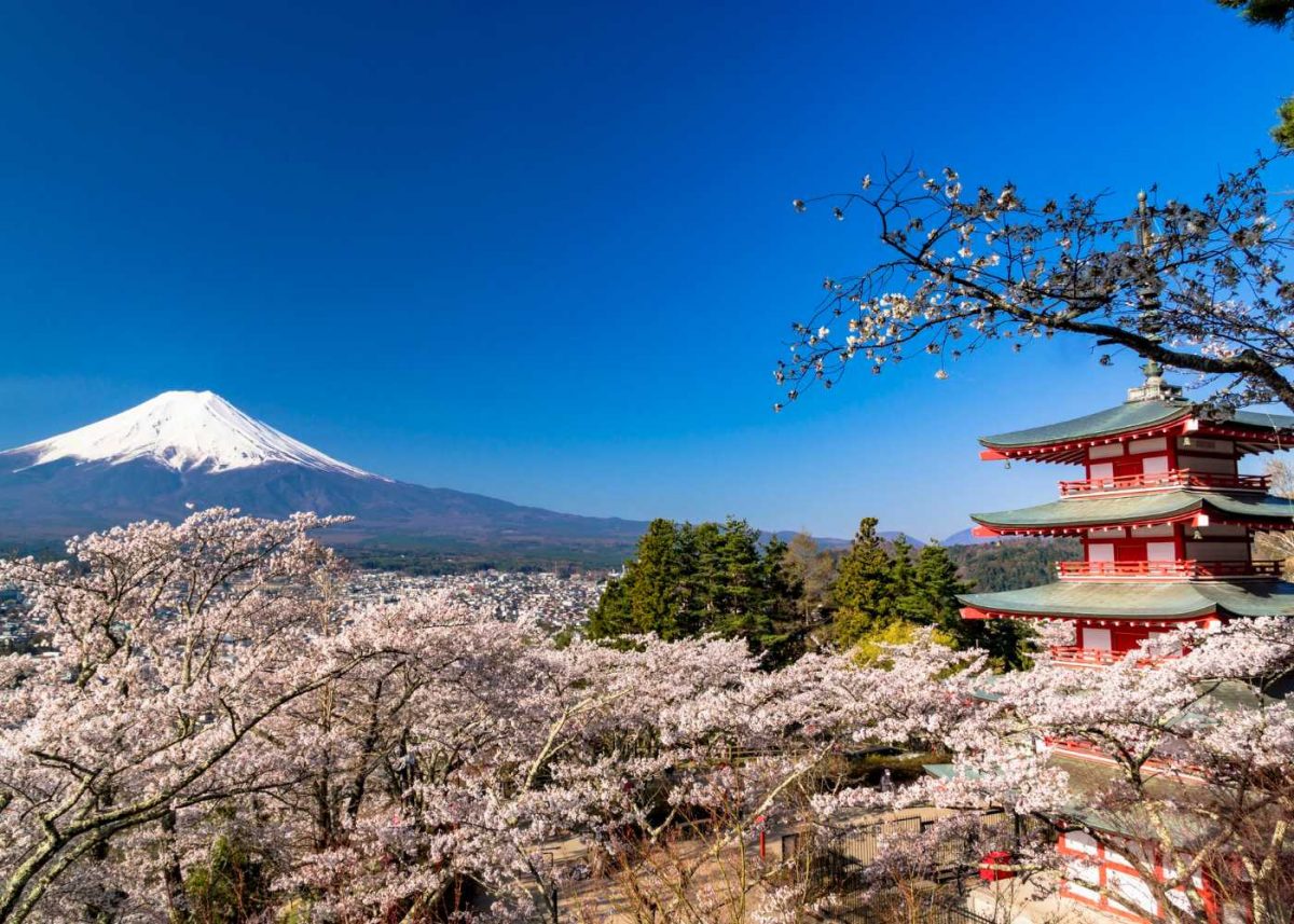 Japan in March 2026: Why It’s the Best Time for Indian Travellers to Visit!