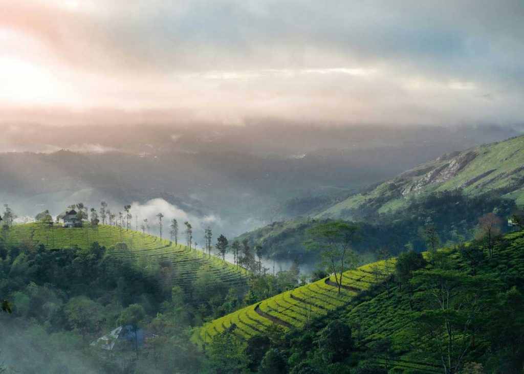 Best 7 Days Kerala Itinerary for Families, Couples & Seniors!