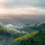 Best 7 Days Kerala Itinerary for Families, Couples & Seniors!