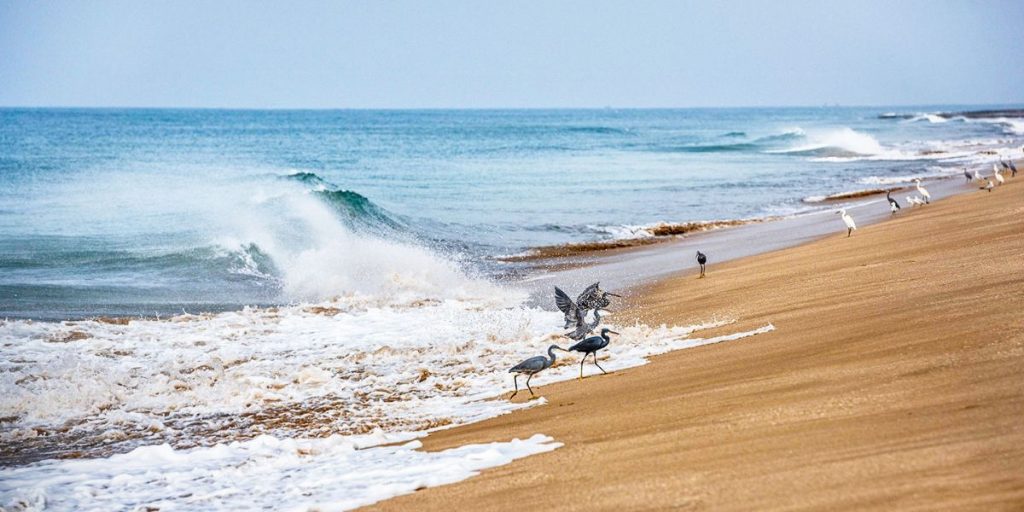 Porbandar Beach