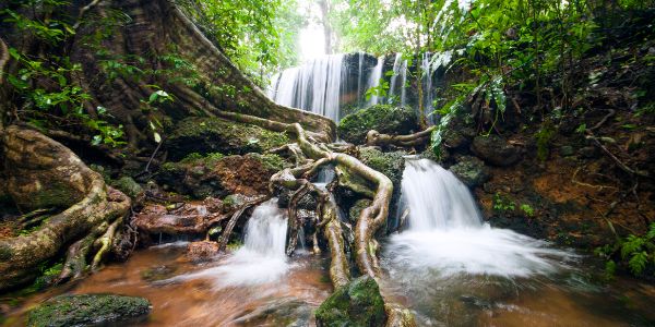 Agumbe