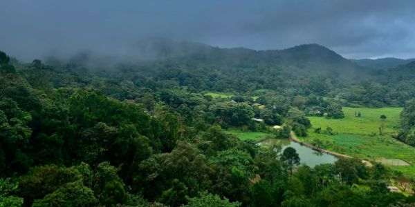 Coorg