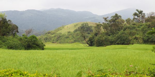 Sakleshpur