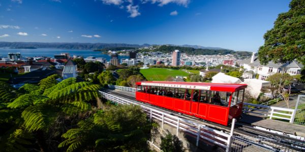 New Zealand Transport