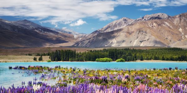New Zealand Trip Budget