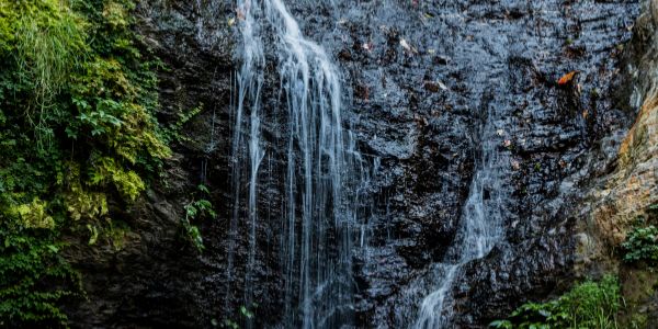 Chadwick Falls