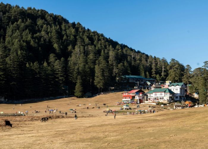 Khajjiar Himachal Pradesh: Complete Travel Guide, Things to Do, Best Time & How to Reach