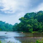 Wayanad Tourist Places: 7 Best Places to Visit in Wayanad