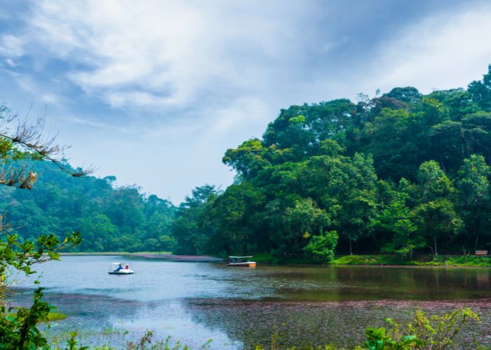 Wayanad Tourist Places: 7 Best Places to Visit in Wayanad